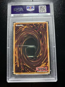 2002 Yu-Gi-Oh! LOB Dark Magician #LOB-005 NM-MT PSA 8 Unlimited Edition - Image 2