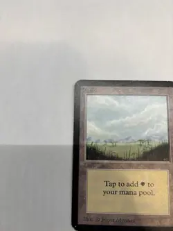 MTG Plains Alpha Edition Magic The Gathering Card - Image 5