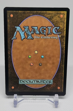 MTG English Blood Crypt Borderless Foil #279 NM Unfinity Magic - Image 2