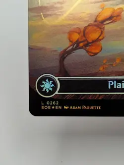 Plains 0262 Foil Borderless Edge of Eternities EOE MTG NM - Image 4