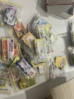 Bulk Lot Assorted 2000+ Pokemon TCG Cards - Image 4