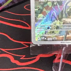 Pokemon TCG Charmander SVP Promo Holo English Sealed Pack 2023 - Image 5