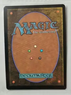 MTG Lord of the Rings Poster Foil Brown Radagast 164215 - Image 2