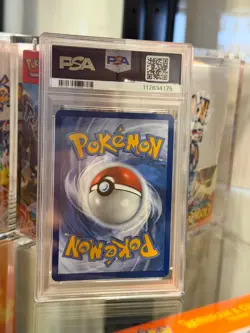 Pokemon Wailord Journey Together Illustration Rare #162 PSA 10 Gem Mint - Image 2
