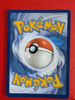 Mega Sharpedo ex 127/094 Special Illustration SIR Pokemon Phantasmal Flames NM - Image 2