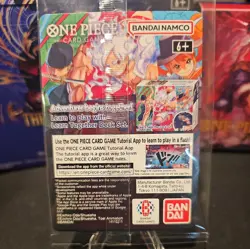 🔥One Piece Monkey D. Luffy College Basketball US Voyage Promo Card🔥 W/Poster! - Image 2