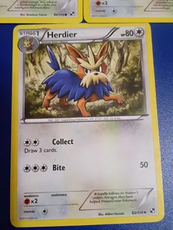 X3 pokemon cards Lillipup Herdier Black & White 80/114 81/114 82/114 - Image 4