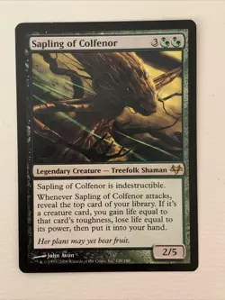 MTG - Sapling of Colfenor - Eventide + Free Bonus Cards Included - Image 1