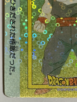 DRAGON BALL Z AMADA CARD PRISM HOLO CARD Form JAPAN GOKKU GOHAN - Image 5