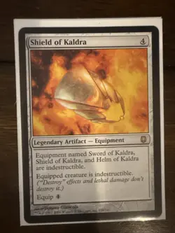 Shield of Kaldra Darksteel Regular - Image 1