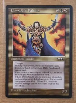 1996 MAGIC THE GATHERING ALLIANCES LIM-DUL'S PALADIN TD25 - Image 1