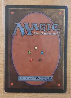 1996 MAGIC THE GATHERING ALLIANCES LIM-DUL'S PALADIN TD25 - Image 2