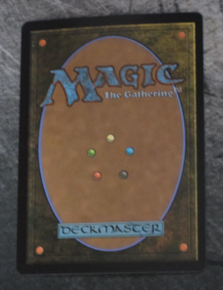 Bitterbloom Bearer NM/M | Lorwyn Eclipsed Magic: The Gathering MTG M 0088 - Image 2