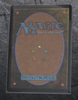 Bitterbloom Bearer NM/M | Lorwyn Eclipsed Magic: The Gathering MTG M 0088 - Image 2