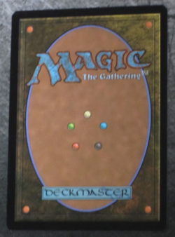 Formidable Speaker NM/M | Lorwyn Eclipsed Magic: The Gathering MTG R 0176 - Image 2