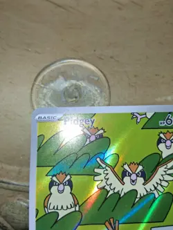 🔥TCG Pokemon Pidgey 207/197 card SV03: Obsidian Flames Holo - Image 5