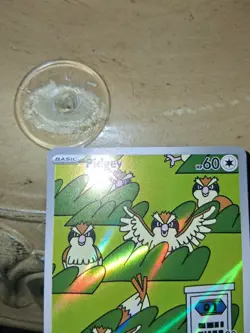 🔥TCG Pokemon Pidgey 207/197 card SV03: Obsidian Flames Holo - Image 5