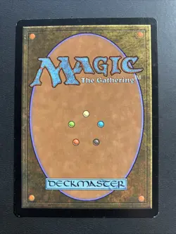 Yavimaya Coast - Apocalypse - MTG - Magic the Gathering NM - Image 2