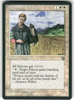 Homelands Soraya the Falconer - Image 1