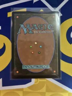 MTG Abandoned Air Temple (TLA) Avatar: The Last Airbender Regular Rare 263 - Image 2