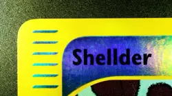 Shellder 129/165 Reverse Holo Pokemon Expedition 2002 Vintage NM - Image 4