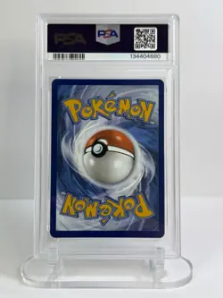 2024 Pokemon SV Stellar Crown SCR EN Squirtle #148/142 Illustration Rare PSA 9 - Image 2