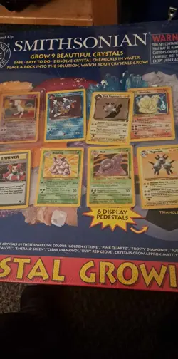 Pokemon 240 Pokemon TCG Trading Cards Collection 636996769661 - Image 2