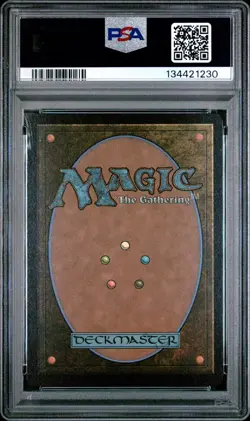 2025 MTG MARVEL'S SPIDER-MAN: SOURCE MAT FOIL #0004 PATH TO EXILE PSA 9 - Image 2