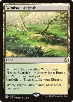 1x Windswept Heath Khans Tarkir NM x1 Mtg Magic the Gathering Changie - Image 1