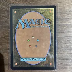 The Cabbage Merchant Extended Art Non-Foil TLE Magic The Gathering #203 - Image 2