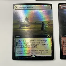 MTG Set Of 5 Fetch Lands *Foil* Extended Art Modern Horizons 3 MT/NM Free Ship - Image 5