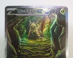 Pokemon Wo-Chien ex 257/193 SIR Paldea Evolved Pokemon Card NM Special - Image 4