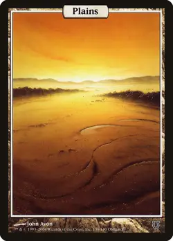 1x Plains Unhinged Moderately Played MTG - Image 1