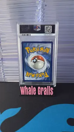 2024 POKEMON SCR EN-STELLAR CROWN ILLUSTRATION RARE #148 SQUIRTLE PSA 10 - Image 2
