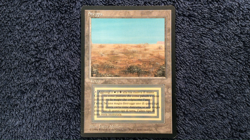 SRUBLAND Revised Italian Foreign Black Border (FBB) MTG Unplayed Light play - Image 2