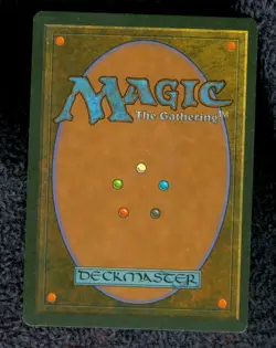 SRUBLAND Revised Italian Foreign Black Border (FBB) MTG Unplayed Light play - Image 3