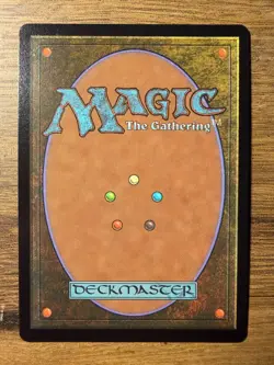 MTG Final Fantasy Choco, Seeker of Paradise Chocobo Track #569 *FOIL* Borderless - Image 2