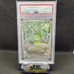 2025 Pokemon Black Bolt Petilil 091/086 Illustration Rare Holo PSA 10 - Image 1