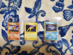 Mod Play Japanese Pokemon TCG Entei, Suicune, Raikou Neo Premium File 3 Promo - Image 1