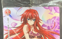High School DxD Prism Connect RIAS PR-019 Japanese Card Game Anime Unopened - Image 4