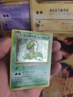 Pokemon Karte Card Sarzenia Victreebel Jungle Dschungel Holo japanese Exc Swirl - Image 5