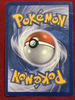 Minccino BW13 Cracked Ice Holo Black Star Promo Pokemon DMG - Image 2