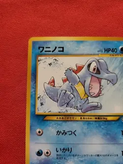 Pokemon: Totodile & Croconaw Neo Premium File 1 Promo Japanese - NM / LP - K37 - Image 4