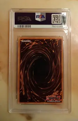 Yu-Gi-Oh! 2008 Rainbow Neos PTDN-EN044 PSA 8 NM-Mint 1st Edition Ghost Rare - Image 3