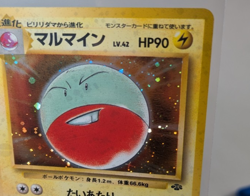 Pokemon - Electrode 101 - Jungle - Japanese - Holo Rare - Image 2