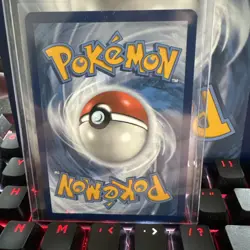 Pokemon TCG N's Zorua SVP 189 Black Star Promo Card Journey Together ETB - Image 2