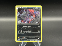 Yveltal - Holo - RC16/RC32 Generations - Pokemon TCG - 2016 - Image 1