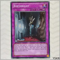 Birthright - YSKR-EN047 - Common 1st Edition Yugioh - Image 1