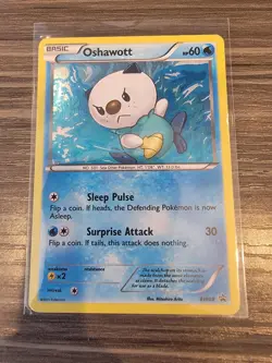 Oshawott BW08 Holo Rare Black & White Black Star Promo Pokemon Card - LP - Image 1