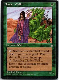 Tinder Wall C Ice Age 158 LP Normal - Image 1